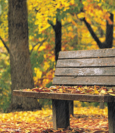 ����ũ��� ����