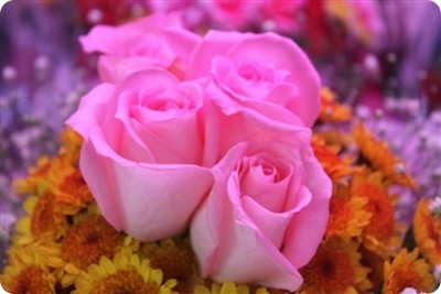 ����ũ��� ����