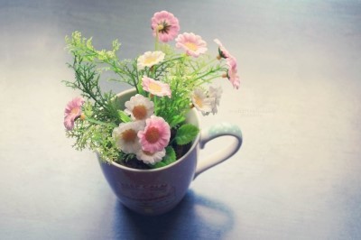 ����ũ��� ����