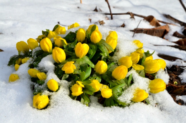 ����ũ��� ����