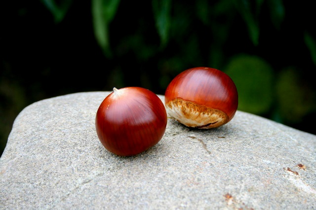 ����ũ��� ����