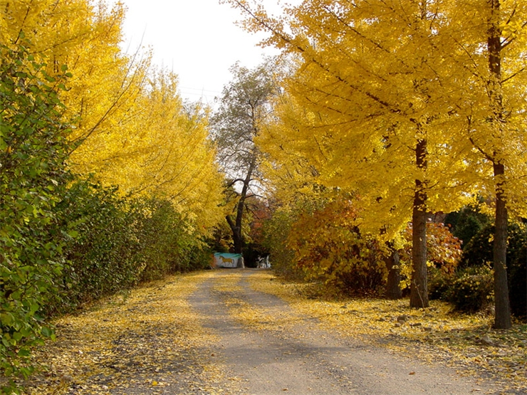 ����ũ��� ����