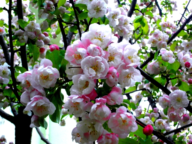 ����ũ��� ����