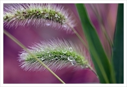 ����ũ��� ����