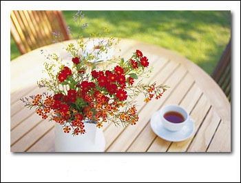 ����ũ��� ����