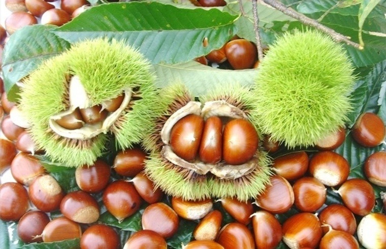 ����ũ��� ����