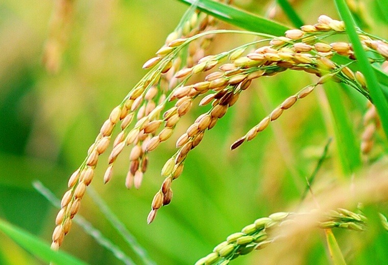 ����ũ��� ����