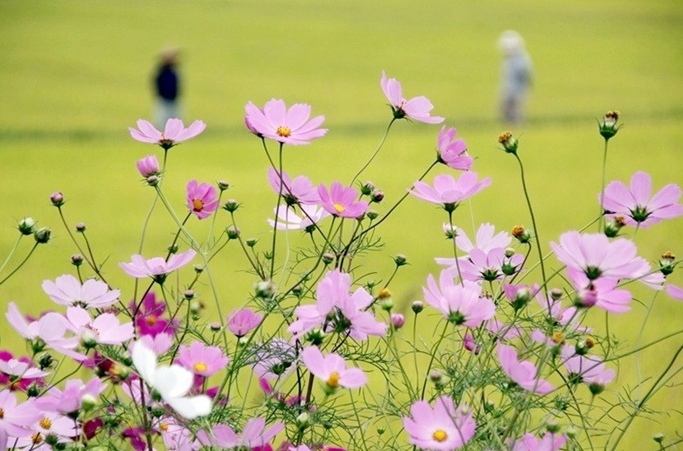 ����ũ��� ����