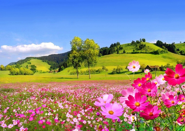 ����ũ��� ����