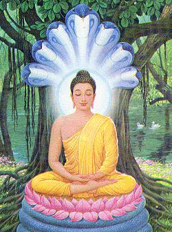 ����ũ��� ����