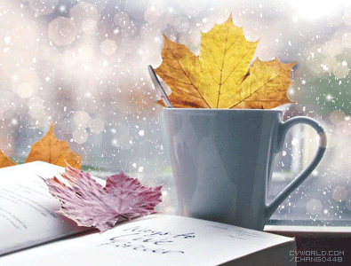 ����ũ��� ����