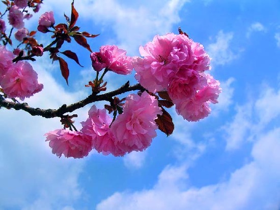 ����ũ��� ����