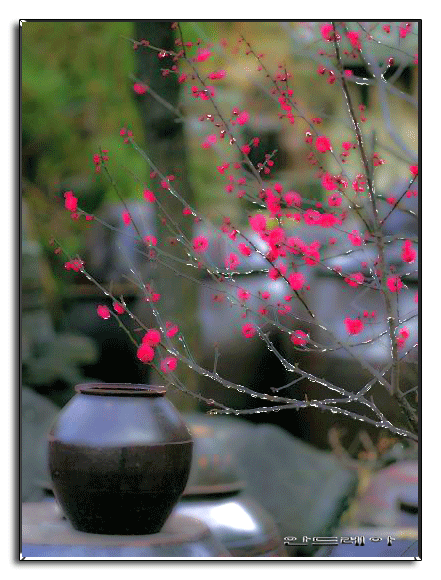 ����ũ��� ����