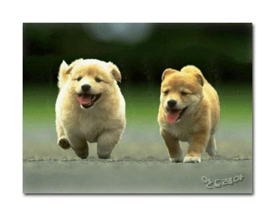 ����ũ��� ����