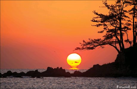 ����ũ��� ����