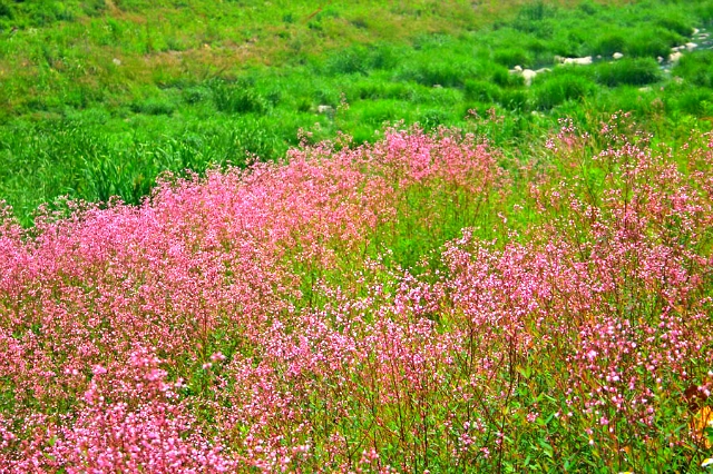 ����ũ��� ����