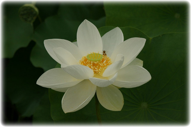 ����ũ��� ����