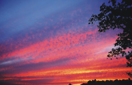 ����ũ��� ����