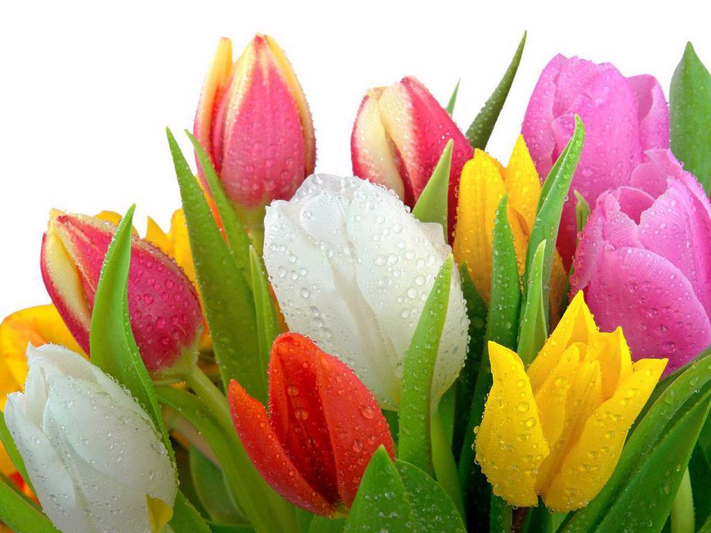 ����ũ��� ����