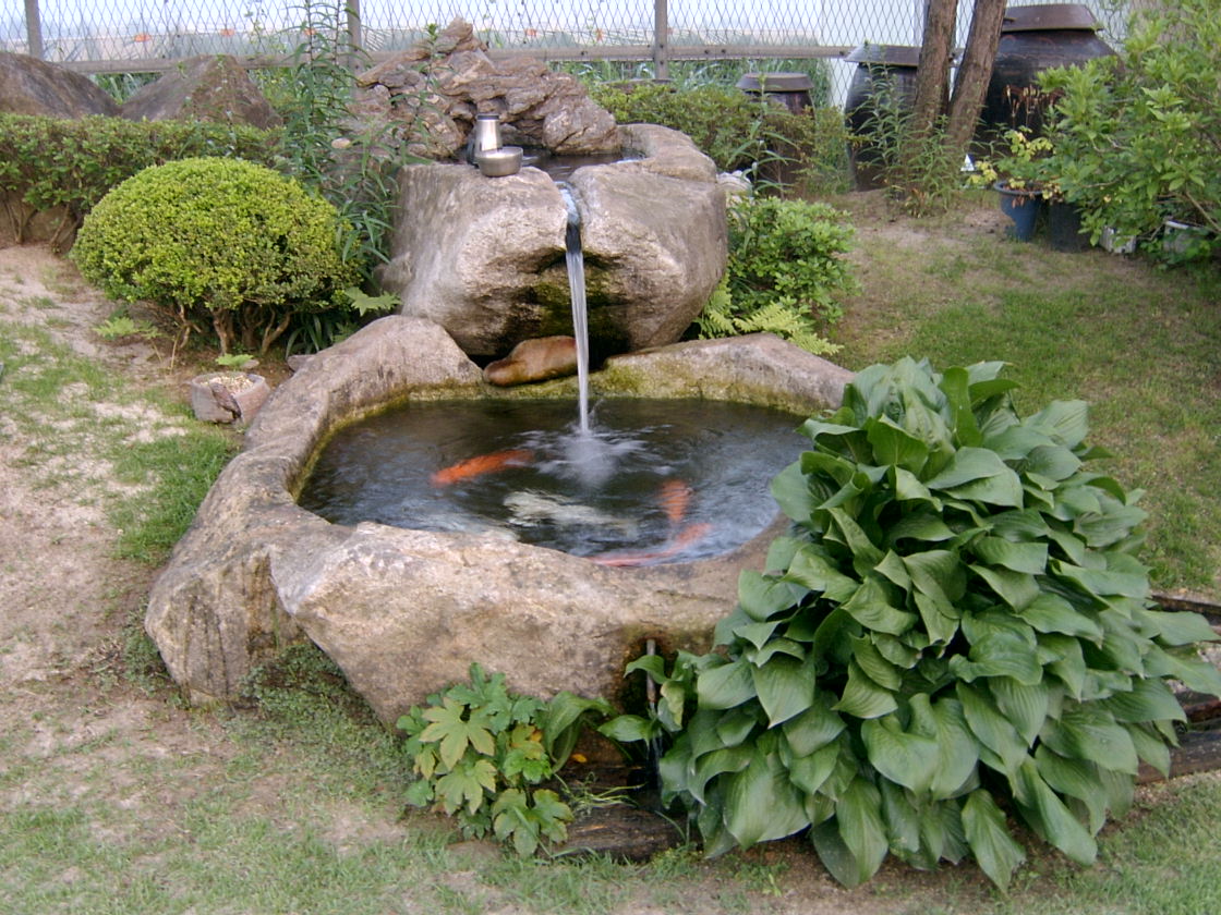 ����ũ��� ����