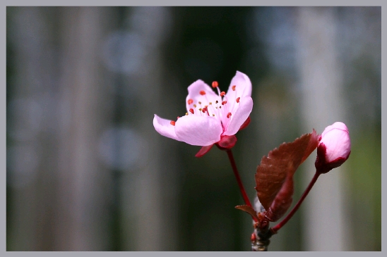 ����ũ��� ����