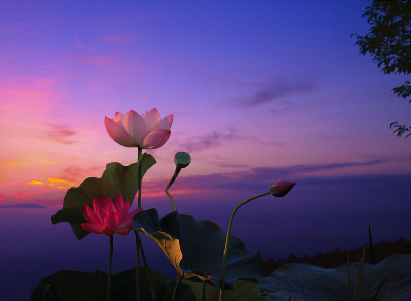 ����ũ��� ����