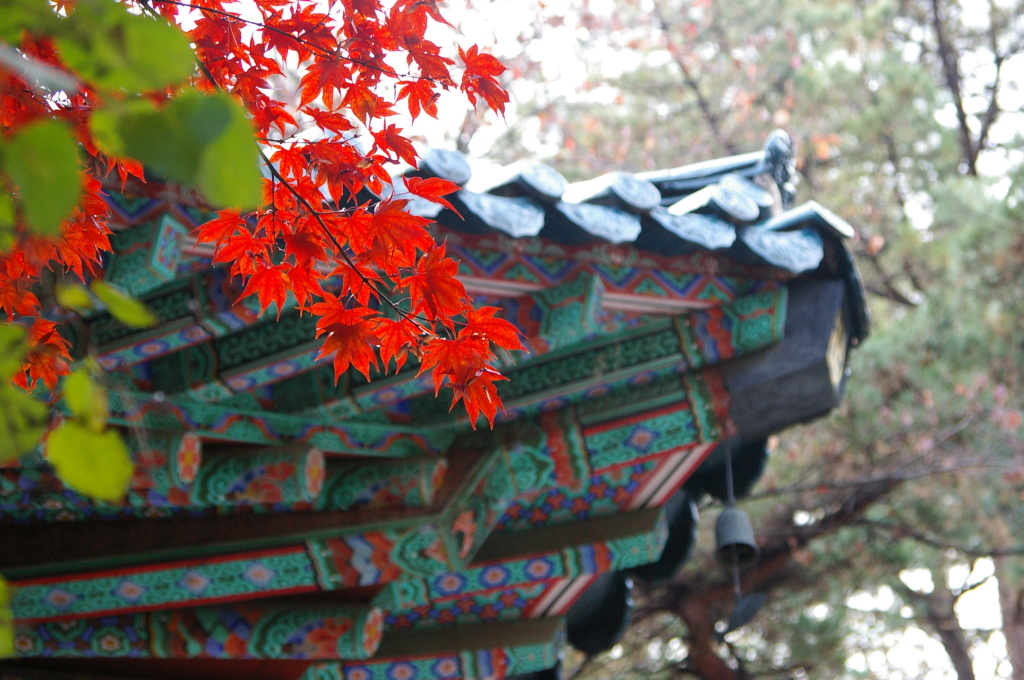 ����ũ��� ����