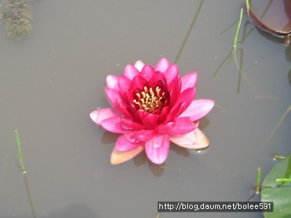 ����ũ��� ����