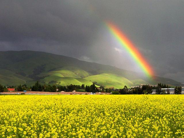 ����ũ��� ����