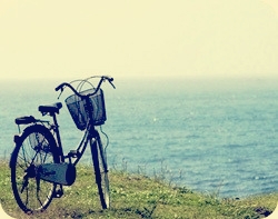 ����ũ��� ����