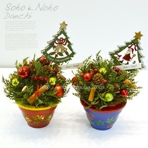 ����ũ��� ����