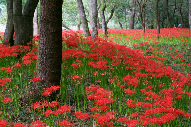 ����ũ��� ����