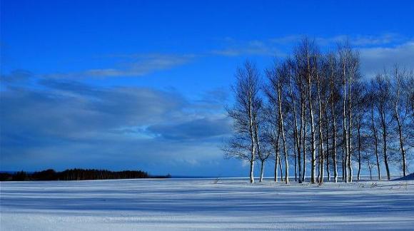 ����ũ��� ����