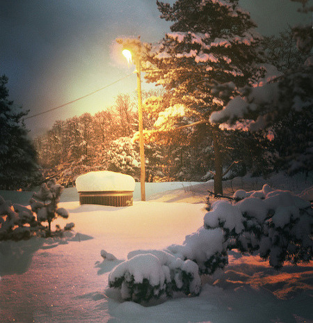 ����ũ��� ����