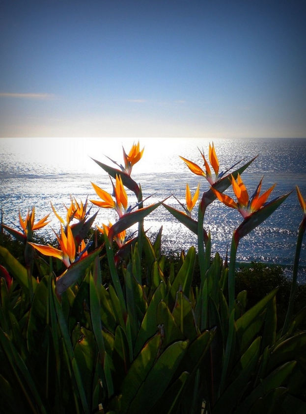 ����ũ��� ����