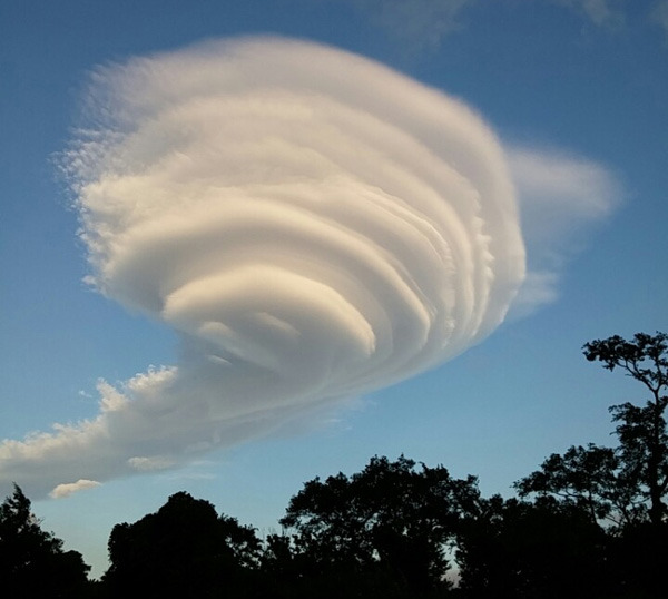 ����ũ��� ����