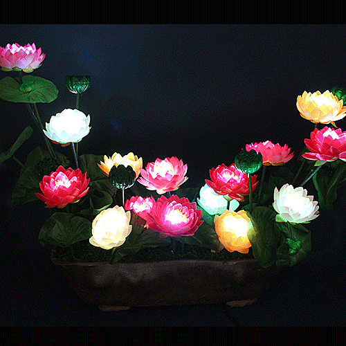 ����ũ��� ����