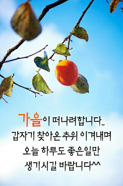 ����ũ��� ����