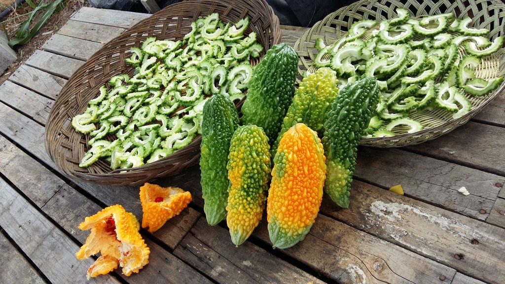 ����ũ��� ����