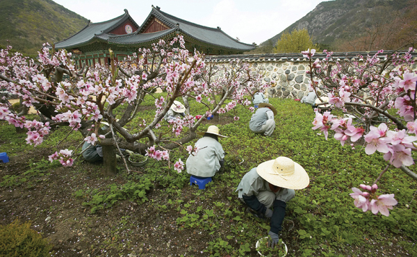 ����ũ��� ����