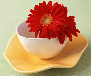 ����ũ��� ����