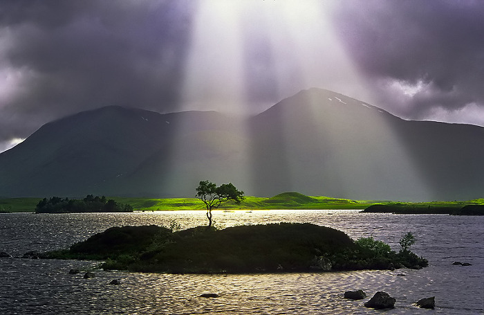 ����ũ��� ����