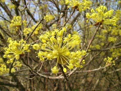 ����ũ��� ����