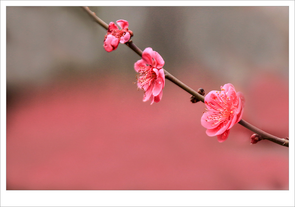 ����ũ��� ����