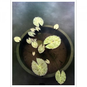 ����ũ��� ����