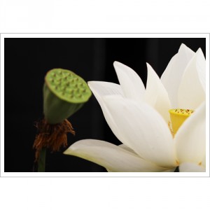 ����ũ��� ����