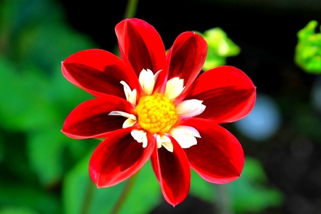 ����ũ��� ����