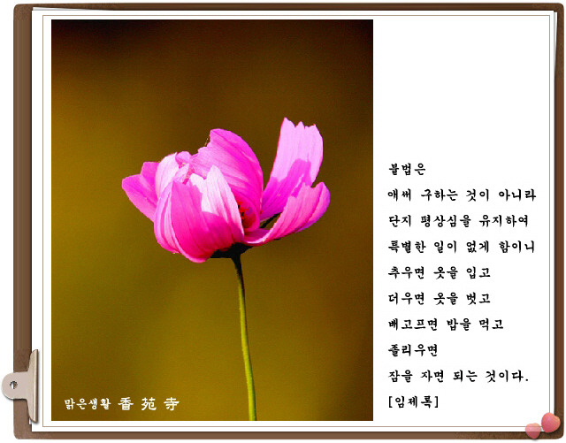 ����ũ��� ����