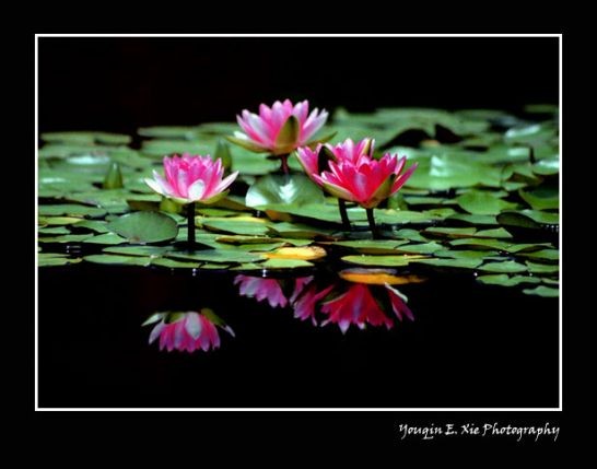 ����ũ��� ����