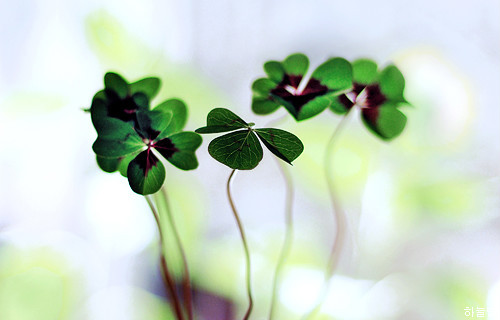 ����ũ��� ����